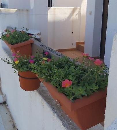 Condado De Alhama, Naranjos 8 Apartman Alhama de Murcia Kültér fotó